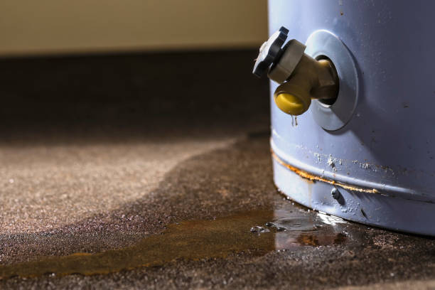 Best Local water damage restoration  in East Orange, NJ