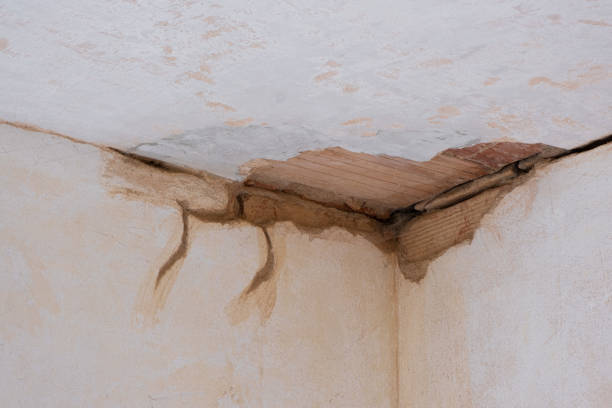 Best Sewage cleanup and water damage restoration  in East Orange, NJ