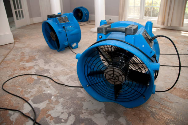 Best 24/7 water damage repair  in East Orange, NJ