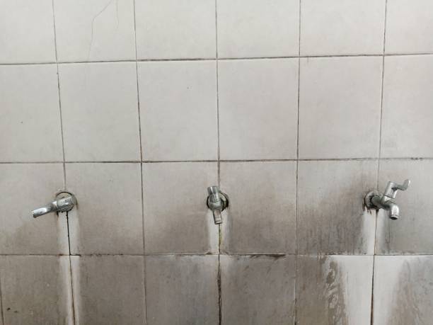 Best Basement water damage restoration  in East Orange, NJ