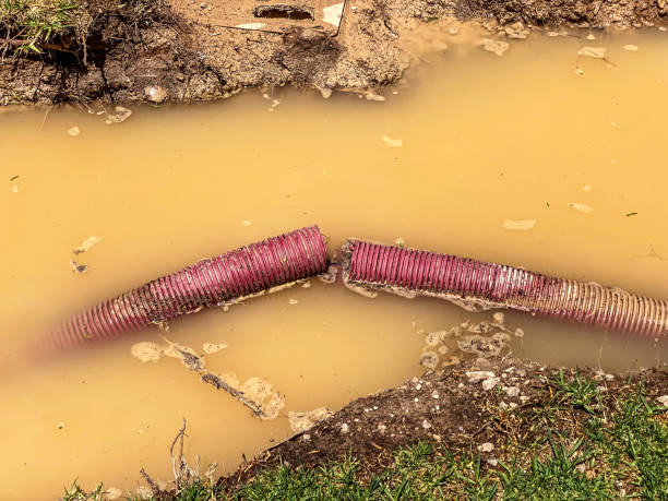 Best Emergency water damage restoration  in East Orange, NJ