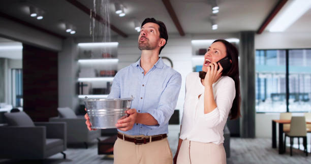 Best Flooded house restoration  in East Orange, NJ