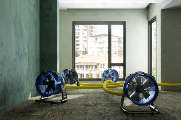 Best Flood restoration services  in East Orange, NJ